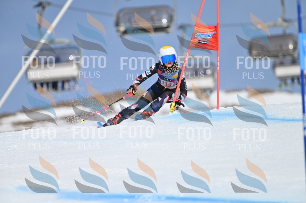 BGV_9691 | holidayphoto