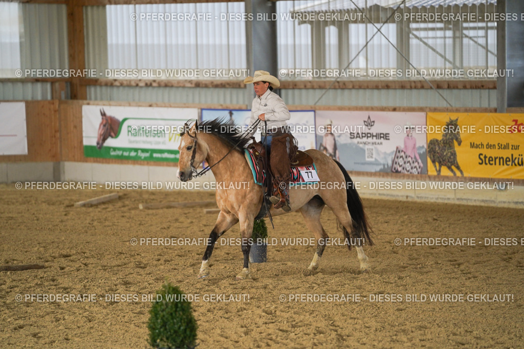 DSC03110 | Pferdegrafie