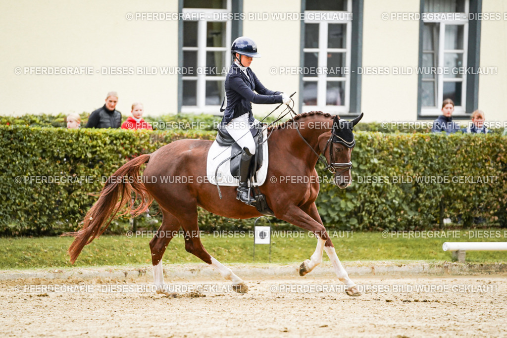 DSC06860 | Pferdegrafie