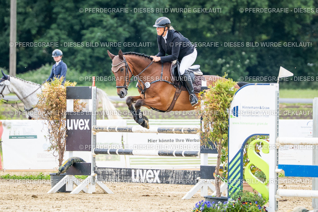 DSC05444 | Pferdegrafie