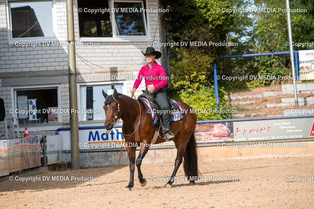 EWP_5784 | dv-media-shop - Realisiert mit Pictrs.com