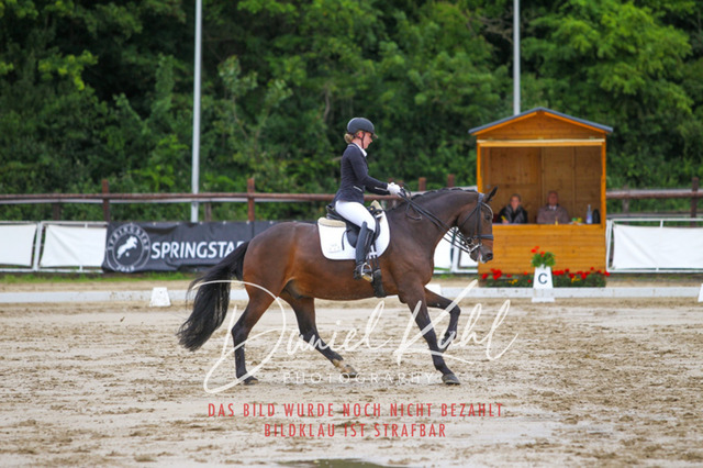 DKP46830 | Turniersportfotografie; Pferdefotografie; Dressurfotografie