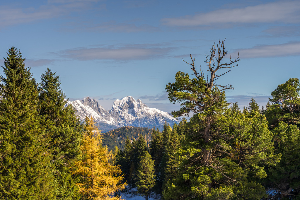 Reichensteingruppe im Herbst | walter-wagner-fotografie