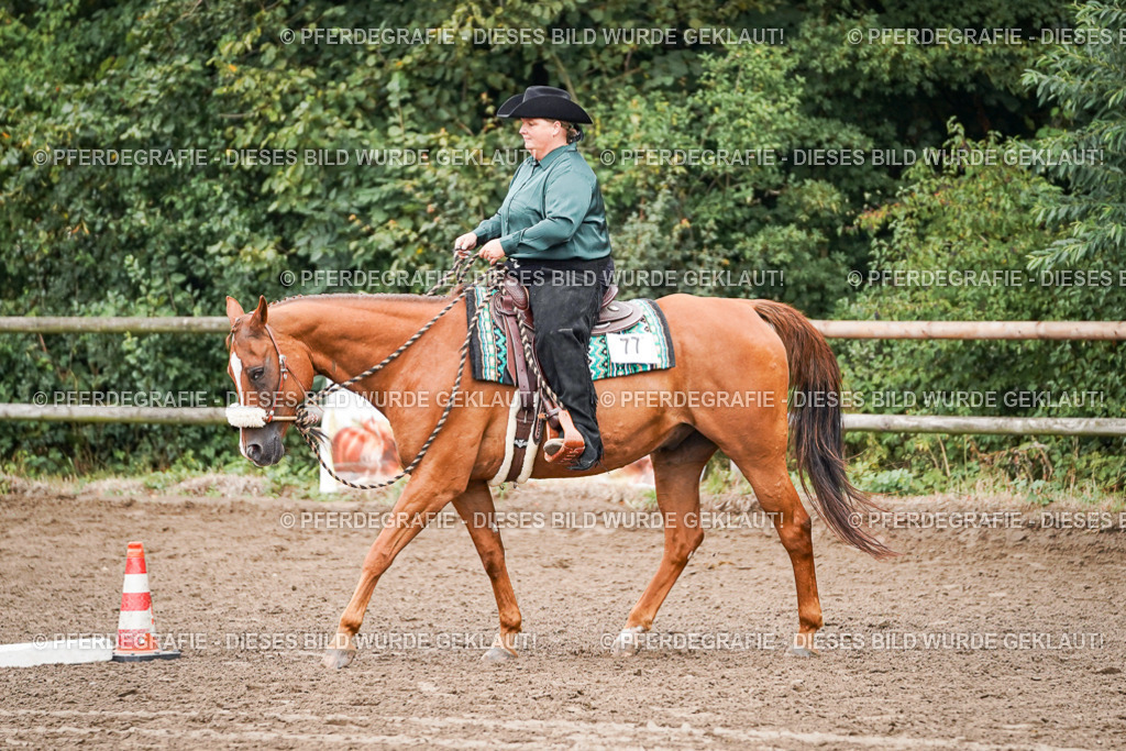 DSC02837 | Pferdegrafie