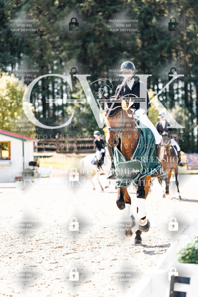 CK904262 | Turnierfotografie Pferdefotografie Trier Rheinland-Pfalz Pferdesport Reitsport Tierfotografie Sportfotografie Pferdevideo Pferdevideografie Equestrianvideography equestrianphotography  - Realisiert mit Pictrs.com