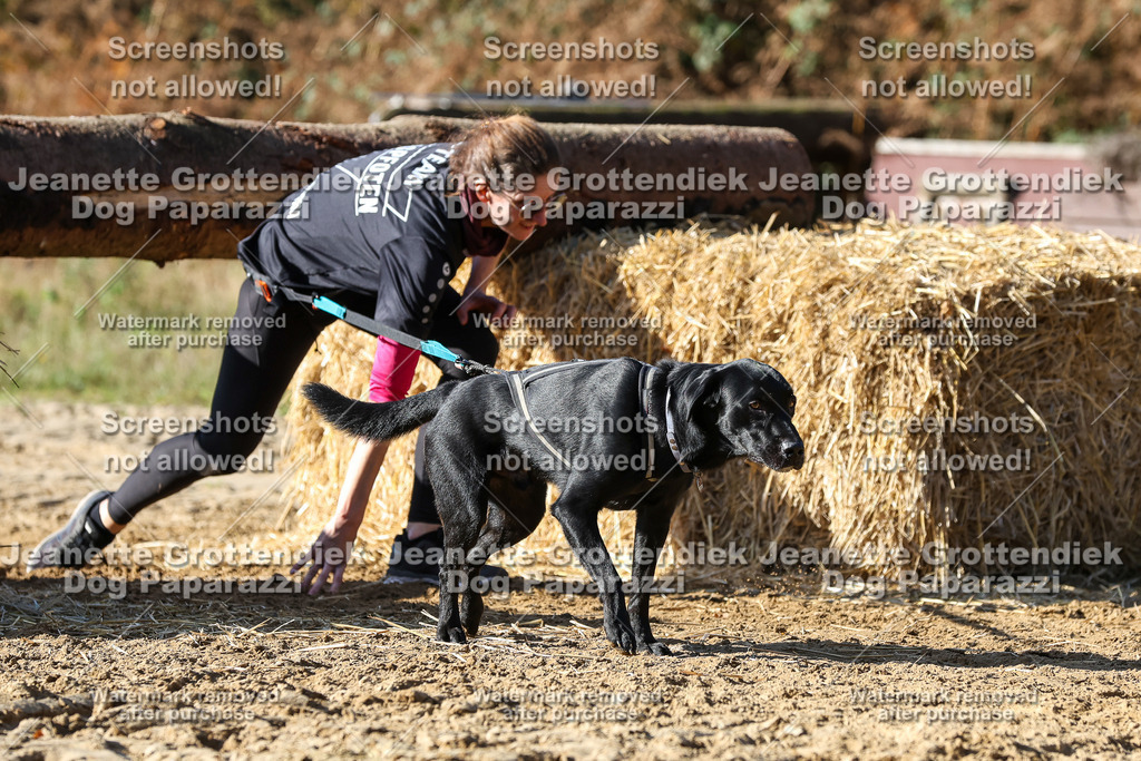 Dog Paparazzi - Strongdog 10-25-2935 | Dog Paparazzi Jeanette Grottendiek Fotografie & Videografie - Realisiert mit Pictrs.com