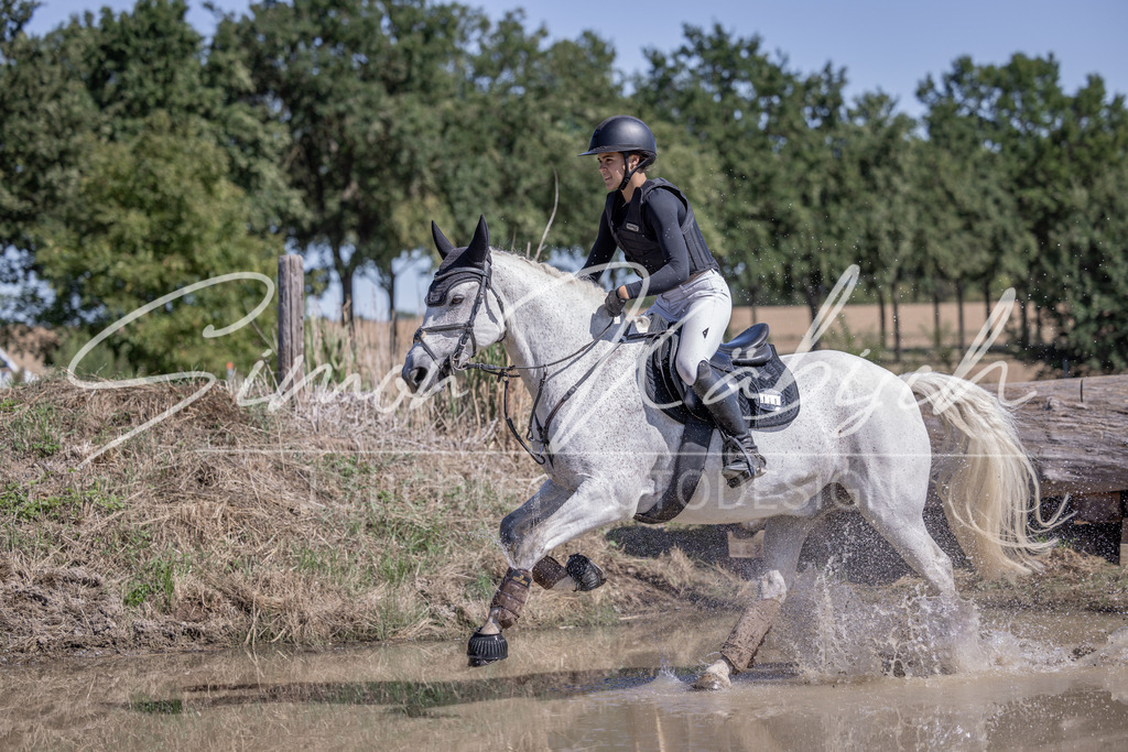 20260906-_3LI4012 | Tierfotografie Pferde, Hunde, Katzen, Haustiere.
Turnierfotografie Reitturniere, Reiten, Springreiten, Dressur in Hanau, dem Main-Kinzig-Kreis und dem Rhein-Main- Gebiet um Frankfurt