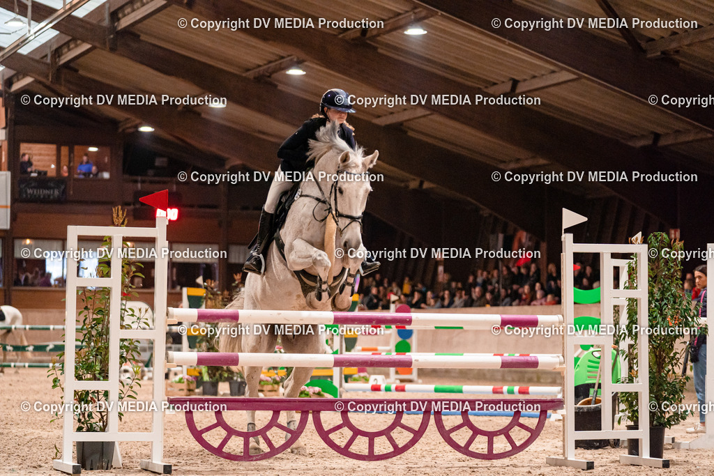 Springen Tag 2-847 | dv-media-shop - Realisiert mit Pictrs.com