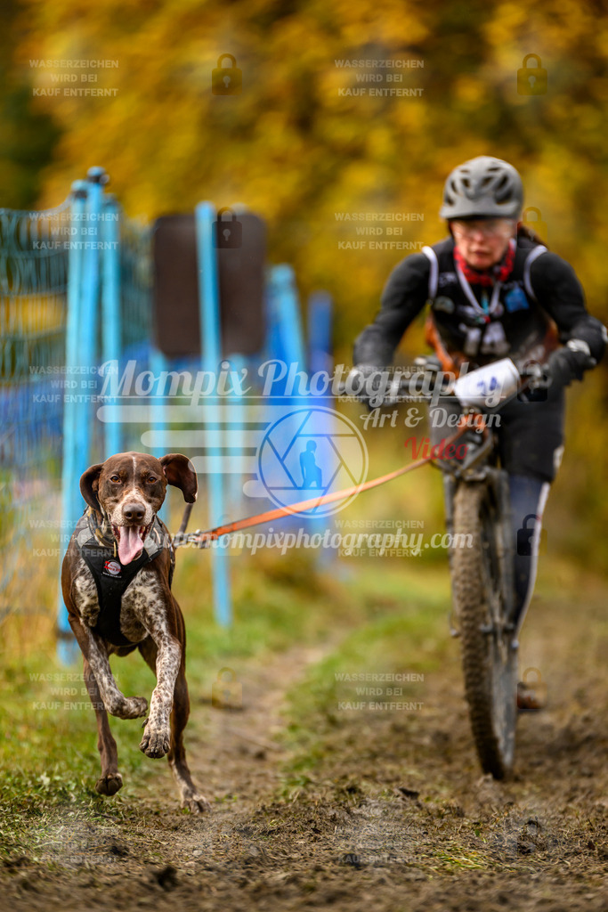 MompixPhotography_ICF_WC_2024_SA_DS_-182 | PayLife