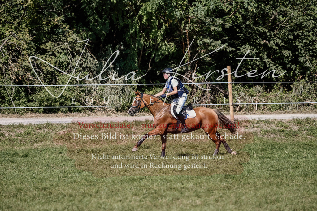 DSC_2082 | Pferde- und Turnierfotografie in Westsachsen. Pferdeportraits, Auftragszeichnungen und intuitive Kunst.