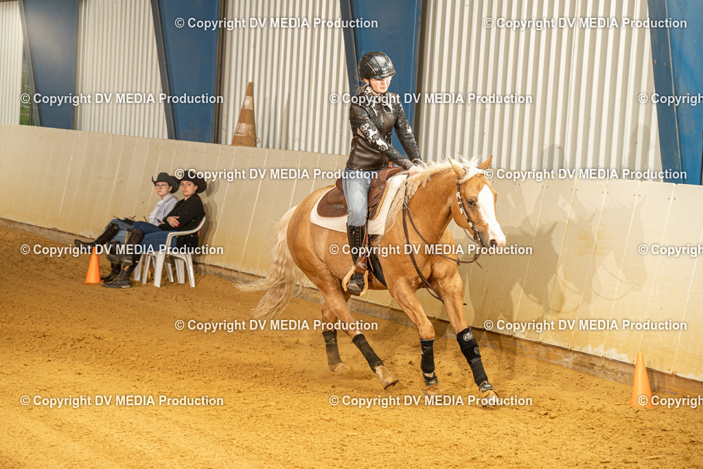 MIT00550 | dv-media-shop - Realisiert mit Pictrs.com