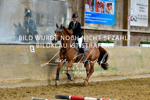 _DSC7479 | larahueckfotografie