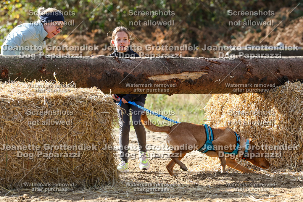 Dog Paparazzi - Strongdog 10-25-5929 | Dog Paparazzi Jeanette Grottendiek Fotografie & Videografie - Realisiert mit Pictrs.com