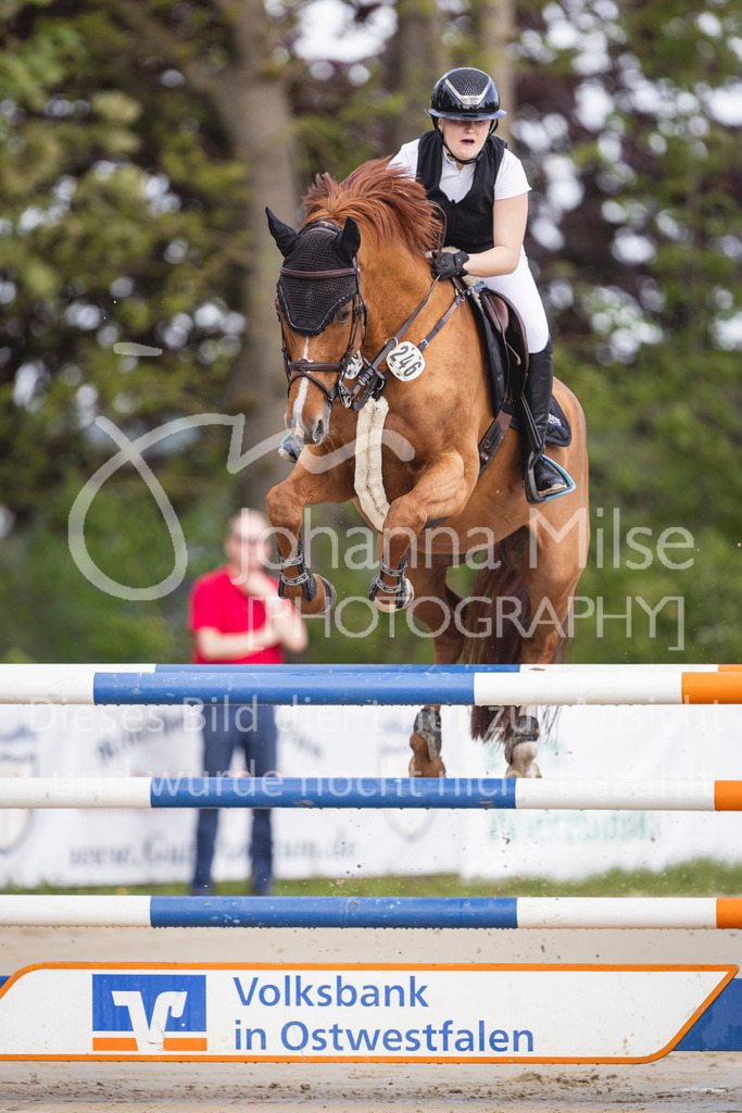 260503_Spenge_7_M2-Spr-m-steig-Anf-706 | Deine schönsten Turniermomente als professionelle Fotos! Entdecke hochwertige Pferdesport-Fotografie im Online-Shop. Jetzt Fotos finden & bestellen!