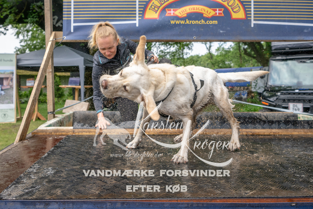 1029_ZZ90893 | kk-dogfotos