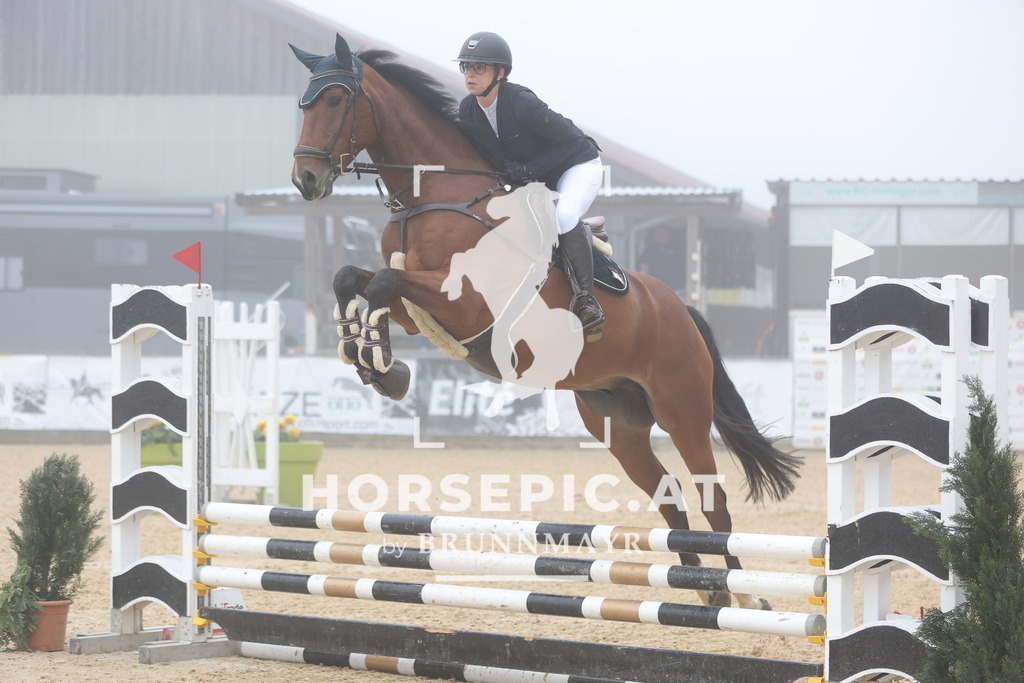 0P6A0305 | Willkommen bei Brunnmayr - Design & Fotografie – Ihrem Spezialisten für Reitturniere und Pferdeveranstaltungen in Oberösterreich, Salzburg und Bayern! Seit über 17 Jahren sind wir leidenschaftlich dabei.