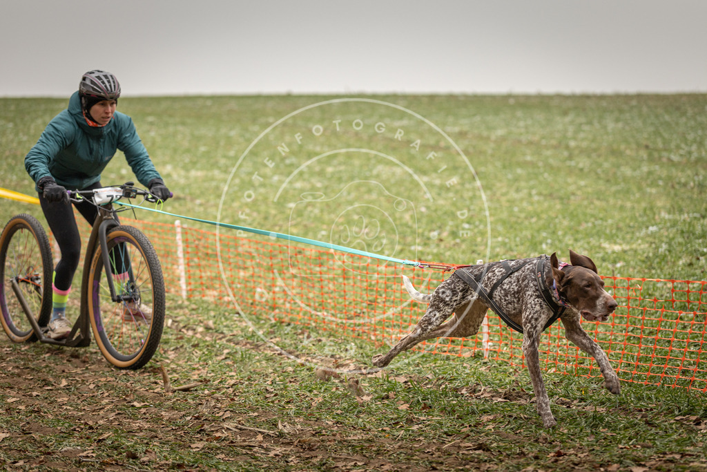 Pfotenfotografie_DV3A3590 | Hundefotografie, Tierfotograf, Pfotenfotografie, Fotoshooting Hund, Hunde Portrait, Hundesport, Hundeportraits, Heideshooting, Hunde, Sportfotograf, Hundefotograf, Turnierhundsport, THS,  - Realisiert mit Pictrs.com