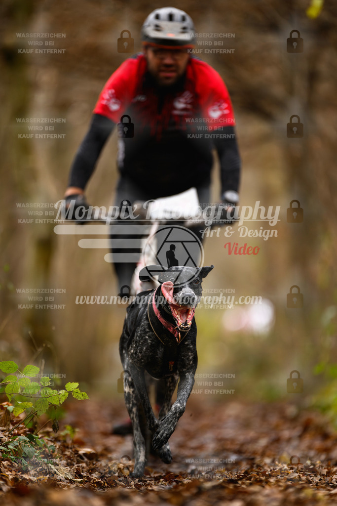 MompixPhotography_Eschau2024_DS1-15 | PayLife