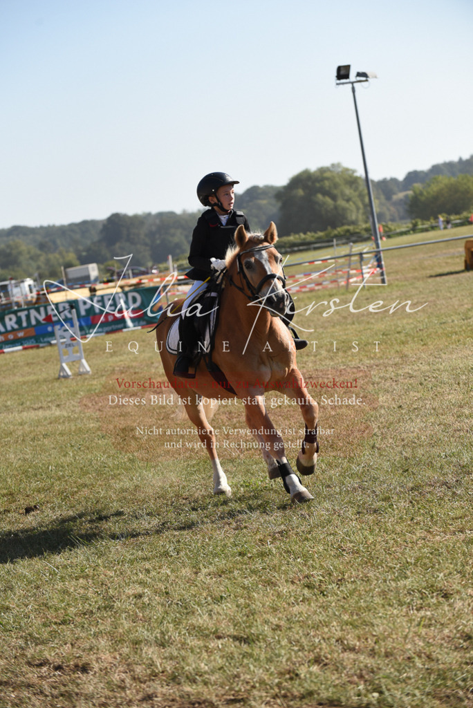 DSC_5801 | Pferde- und Turnierfotografie in Westsachsen. Pferdeportraits, Auftragszeichnungen und intuitive Kunst.