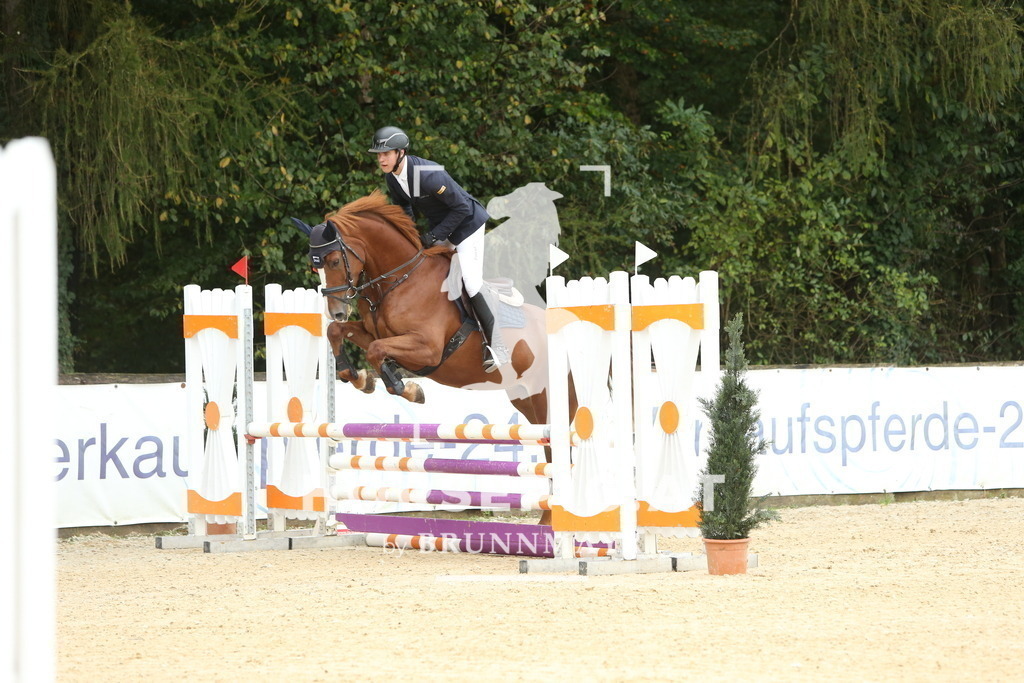 DL2Q0586 | Willkommen bei Brunnmayr - Design & Fotografie – Ihrem Spezialisten für Reitturniere und Pferdeveranstaltungen in Oberösterreich, Salzburg und Bayern! Seit über 17 Jahren sind wir leidenschaftlich dabei.