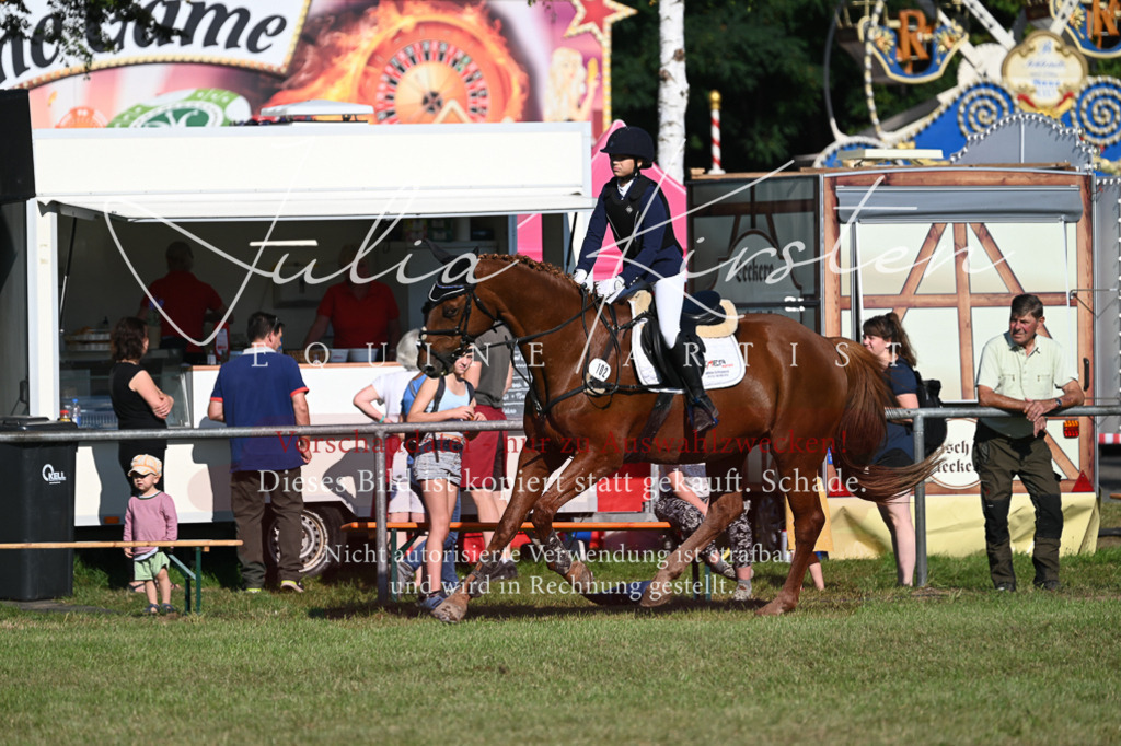 DSC_5120 | Pferde- und Turnierfotografie in Westsachsen. Pferdeportraits, Auftragszeichnungen und intuitive Kunst.