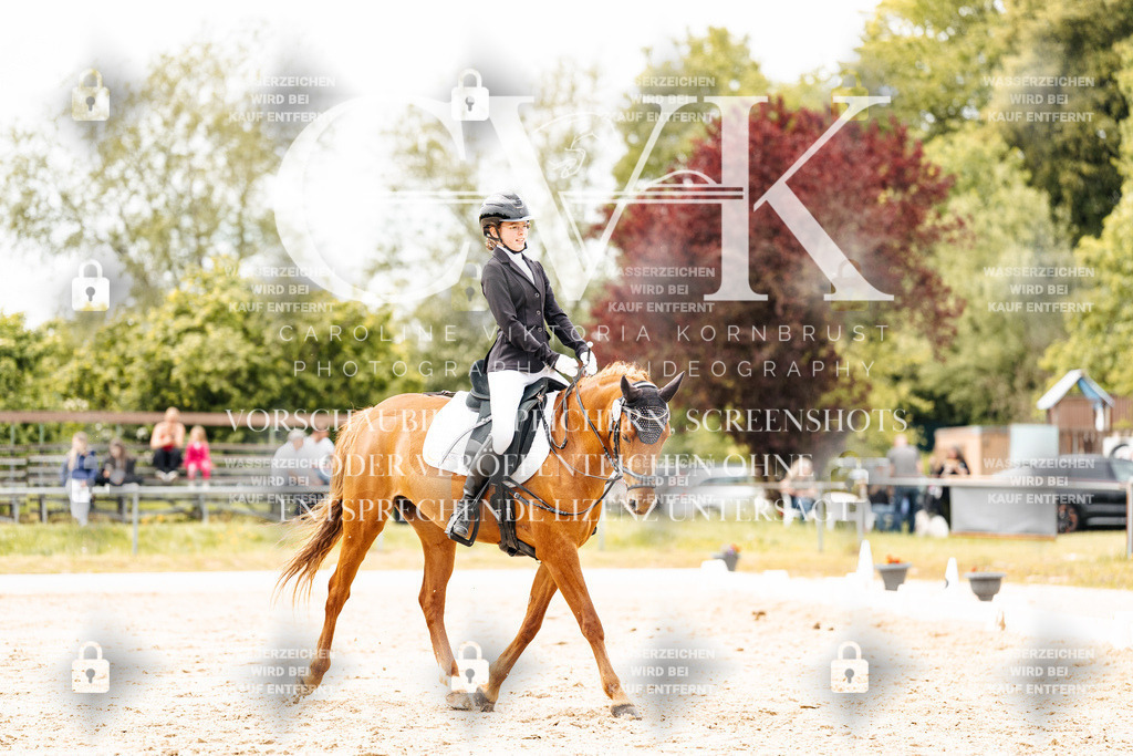 CK902932 | Turnierfotografie Pferdefotografie Trier Rheinland-Pfalz Pferdesport Reitsport Tierfotografie Sportfotografie Pferdevideo Pferdevideografie Equestrianvideography equestrianphotography  - Realisiert mit Pictrs.com