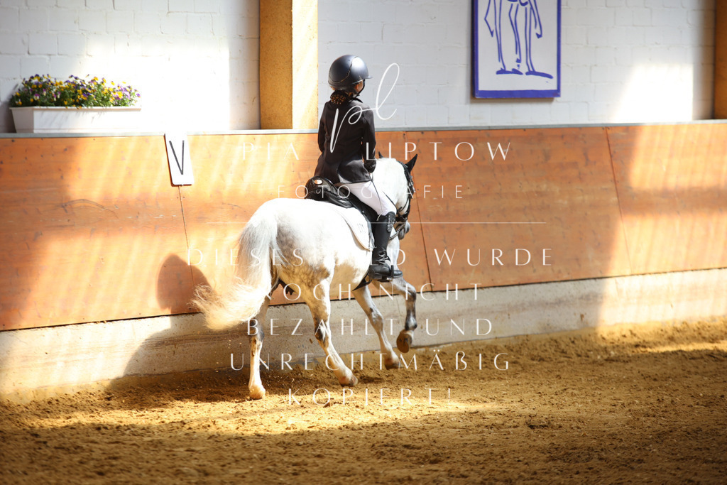 IMGT0917 | pl-fotografie