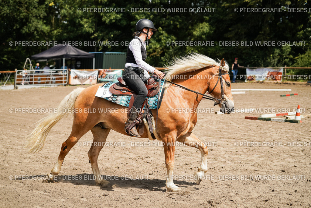 DSC07122 | Pferdegrafie