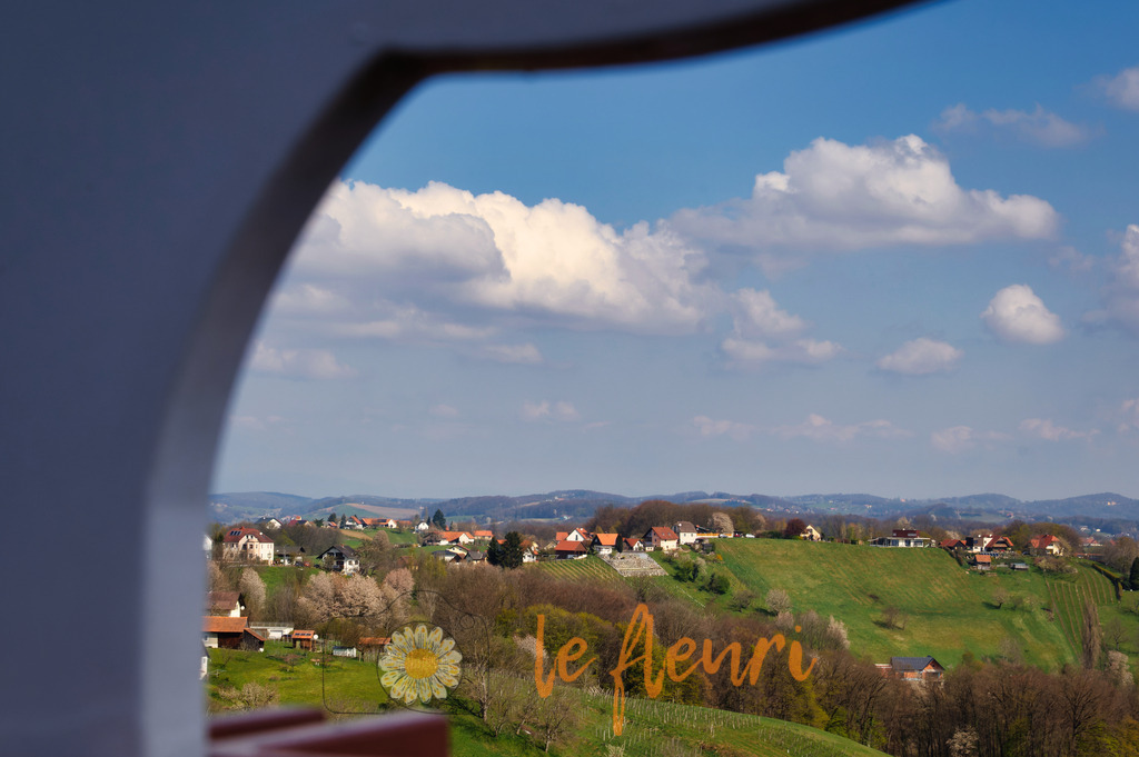 DSC_0040-NEF_DxO_DeepPRIME | Dies ist der Shop von Florian Blum - le fleuri. Langenthal, Bern, Schweiz. Sie können hier meine oder ihre eigenen Fotos als Fotoprodukte kaufen. Tassen, Schlüsselanhänger, Taschen etc. können Sie hier gestalten.  - Realisiert mit Pictrs.com