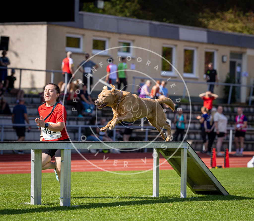 Pfotenfotografie_DV3A0672 | Hundefotografie, Tierfotograf, Pfotenfotografie, Fotoshooting Hund, Hunde Portrait, Hundesport, Hundeportraits, Heideshooting, Hunde, Sportfotograf, Hundefotograf, Turnierhundsport, THS,  - Realisiert mit Pictrs.com