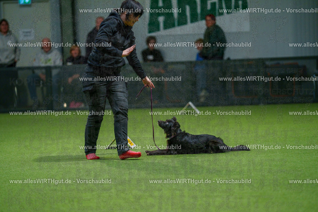 7R505747 | Professionelle Tierfotografie in Mönchengladbach von Daniel Wirth (allesWIRTHgut). Liebevolle & natürliche Bilder von Hunden & Katzen für unvergessliche Erinnerungen.