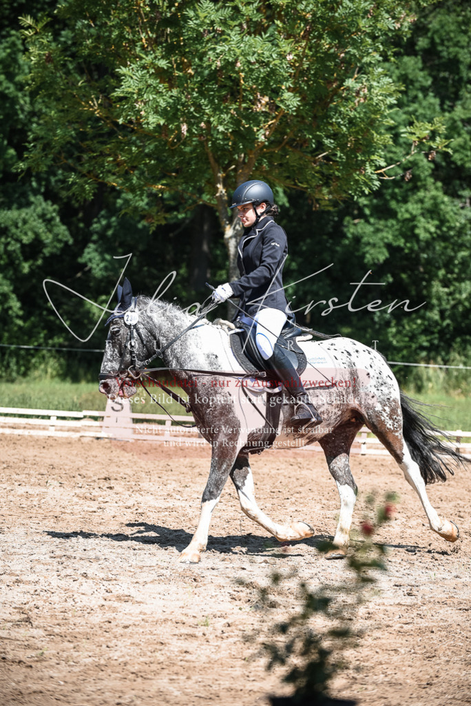 DSC_3230 | Pferde- und Turnierfotografie in Westsachsen. Pferdeportraits, Auftragszeichnungen und intuitive Kunst.
