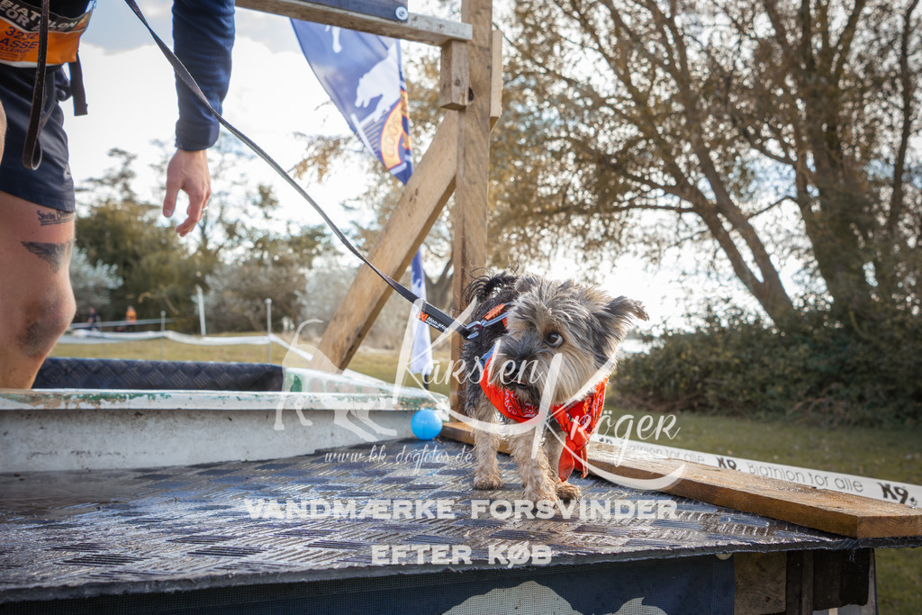 1322_ZZ90365-2 | kk-dogfotos