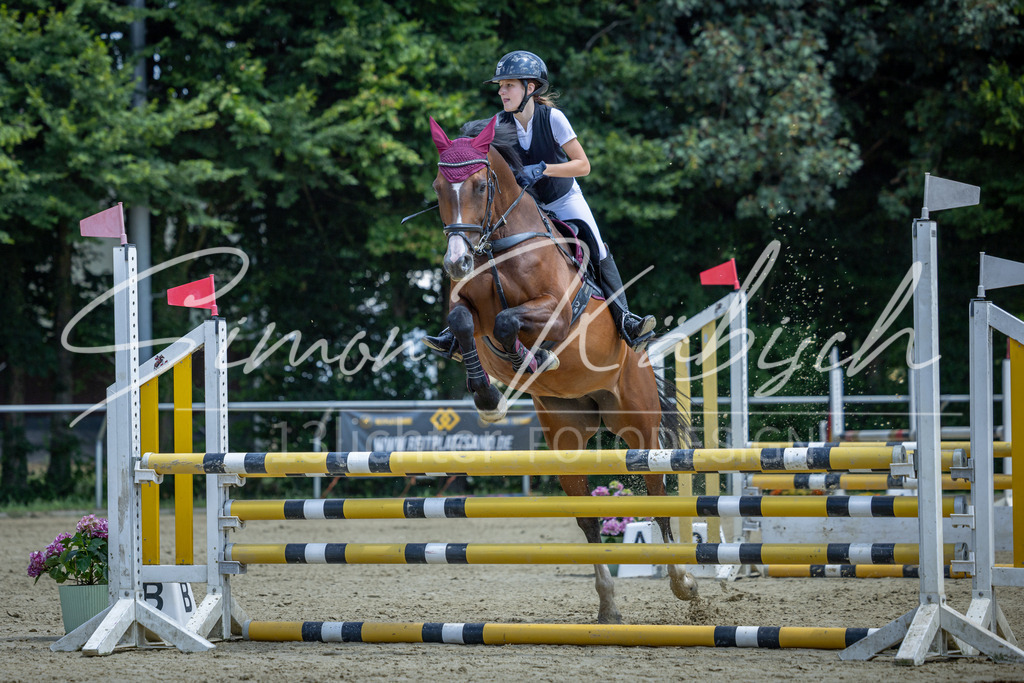 20260704-_3LI9470 | Tierfotografie Pferde, Hunde, Katzen, Haustiere.
Turnierfotografie Reitturniere, Reiten, Springreiten, Dressur in Hanau, dem Main-Kinzig-Kreis und dem Rhein-Main- Gebiet um Frankfurt