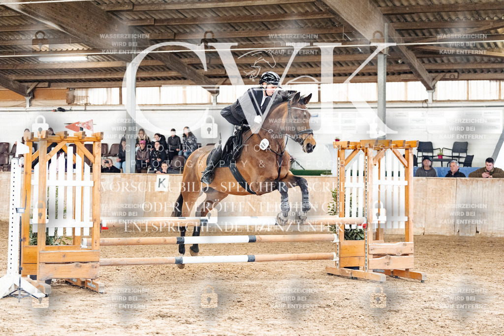 CK904779 | Turnierfotografie Pferdefotografie Trier Rheinland-Pfalz Pferdesport Reitsport Tierfotografie Sportfotografie Pferdevideo Pferdevideografie Equestrianvideography equestrianphotography  - Realisiert mit Pictrs.com