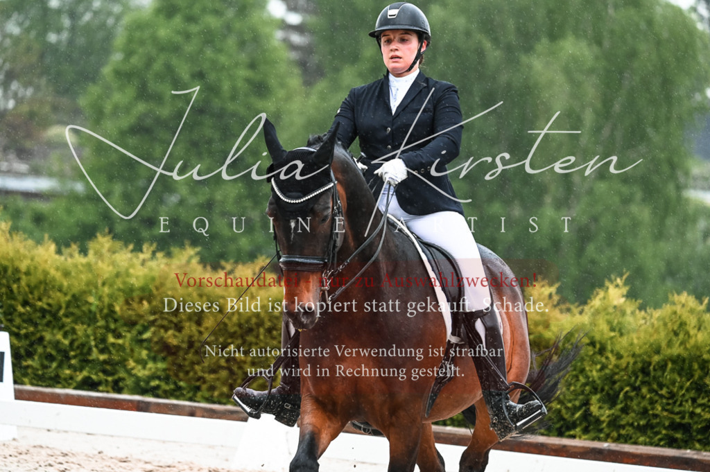 DSC_4541 | Pferde- und Turnierfotografie in Westsachsen. Pferdeportraits, Auftragszeichnungen und intuitive Kunst.