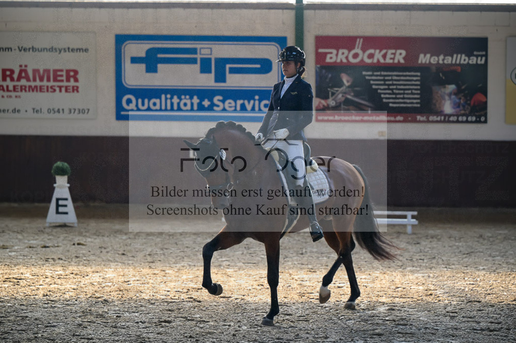 Reitturnier Voxtrup | Entdecke hochwertige Reitturnierfotos von Foto Oger. Professionell, emotional und authentisch – jetzt Lieblingsmomente im Shop bestellen.Deutschlandweite Turnierfotografie. - Realisiert mit Pictrs.com