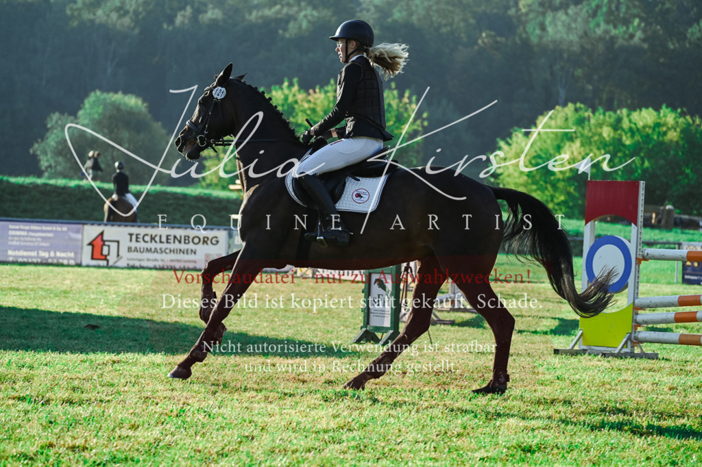 DSC_4223 | Pferde- und Turnierfotografie in Westsachsen. Pferdeportraits, Auftragszeichnungen und intuitive Kunst.