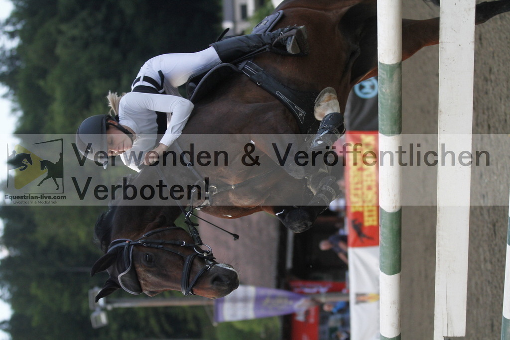 _MG_1761 | equestrian-live-com