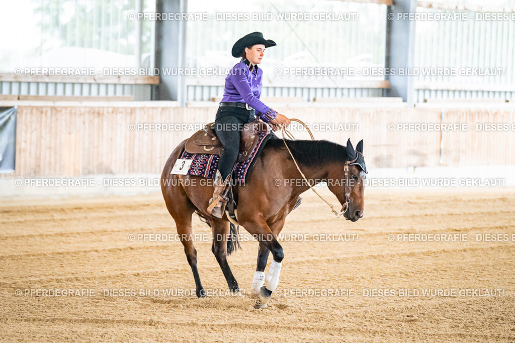 DSC06078 | Pferdegrafie