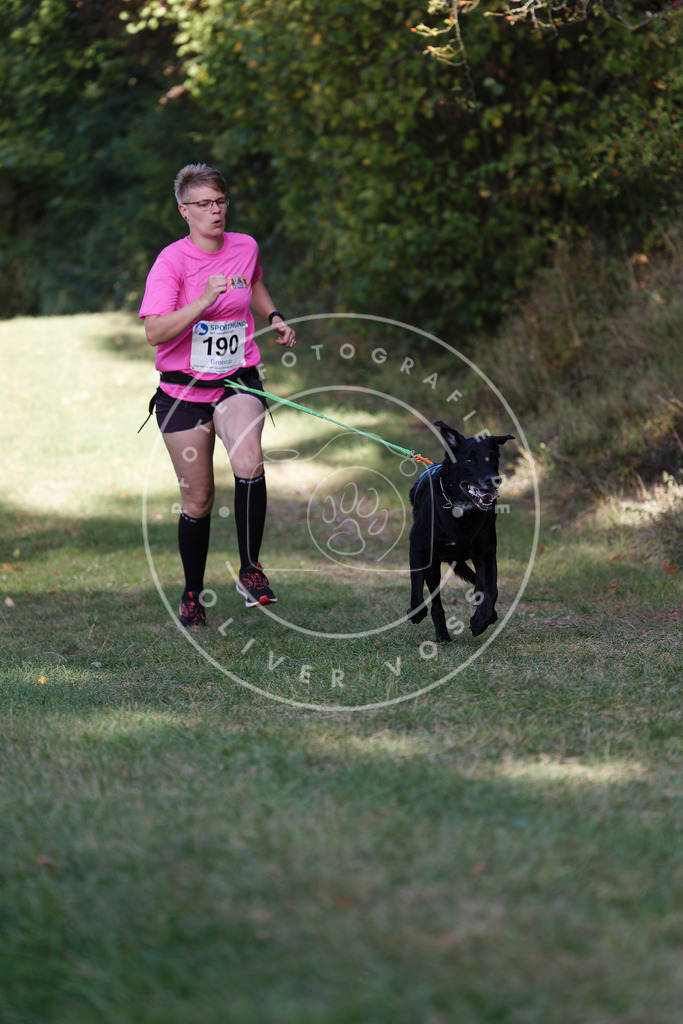 0L8A5630 | Hundefotografie, Tierfotograf, Pfotenfotografie, Fotoshooting Hund, Hunde Portrait, Hundesport, Hundeportraits, Heideshooting, Hunde, Sportfotograf, Hundefotograf, Turnierhundsport, THS,  - Realisiert mit Pictrs.com