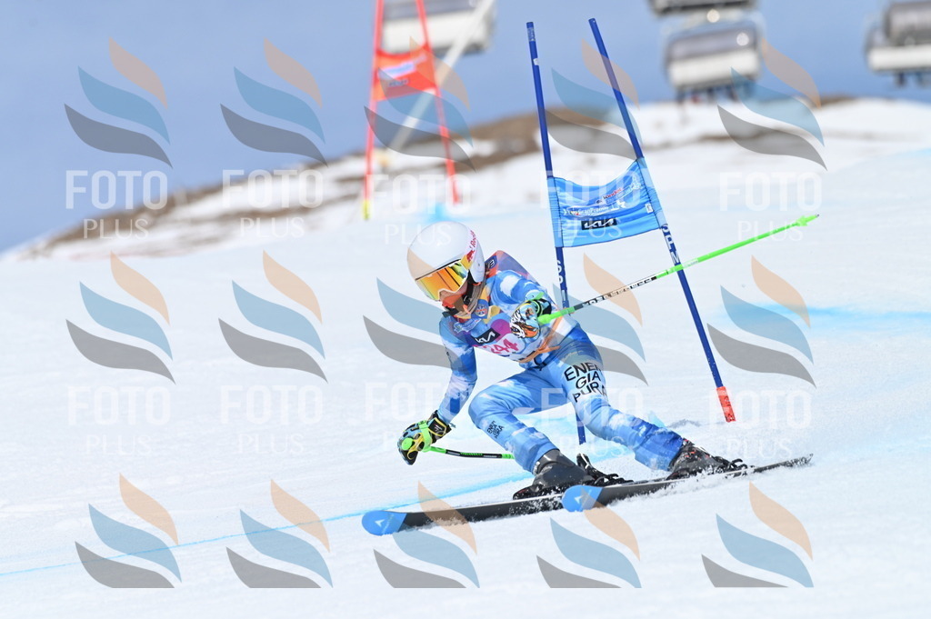 BGV_1781 | holidayphoto