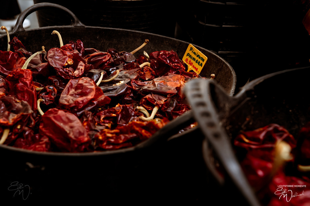 20250317-120317 LA PALMA_036-1 | Herzlich willkommen auf meiner Seite! Ich bin Elke Wallnisch, Deine Fotografin für lichtstarke Momente. Der Name steht für alles, was mich mit der Fotografie verbindet: Das Licht und seine machtvolle Wirkung auf eine Situation oder unsere Stimmung - Realisiert mit Pictrs.com