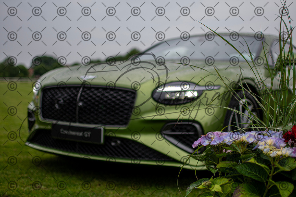 POL_3026 | andre_photographic