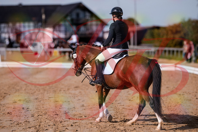 2026_10_03_Siefer-Hof_115701_Z81_97621904 | Professionelle Reitsport-, Turnier- und Eventfotografie von Robert Broda. Galerien mit ausgewählten und bearbeiteten Bildern direkt online ansehen und bestellen.