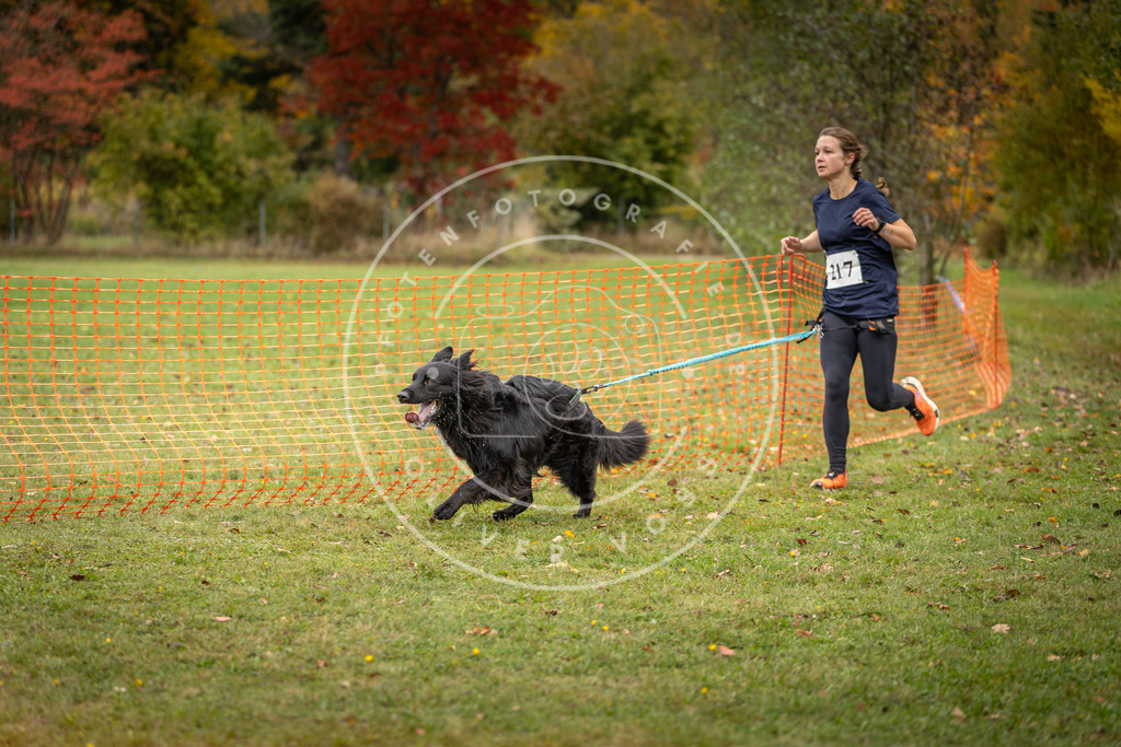 Pfotenfotografie_DV3A4777 | Hundefotografie, Tierfotograf, Pfotenfotografie, Fotoshooting Hund, Hunde Portrait, Hundesport, Hundeportraits, Heideshooting, Hunde, Sportfotograf, Hundefotograf, Turnierhundsport, THS,  - Realisiert mit Pictrs.com