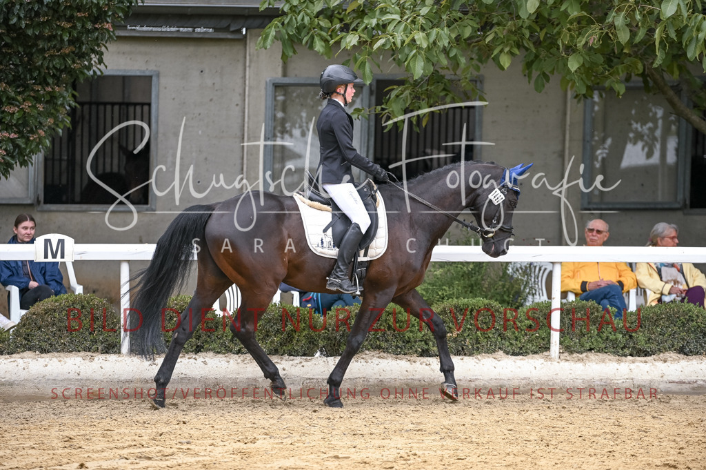 Schugtsche-Aluta25-44.DresssurreiterWB-110 | Schugtsche Fotografie - Realized with Pictrs.com