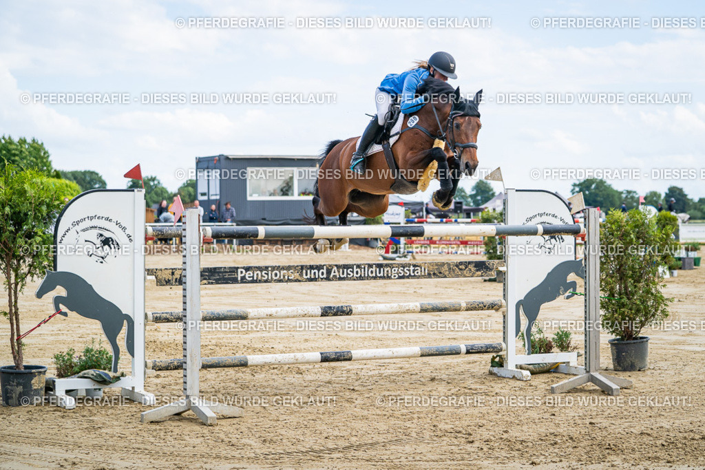 DSC06730 | Pferdegrafie