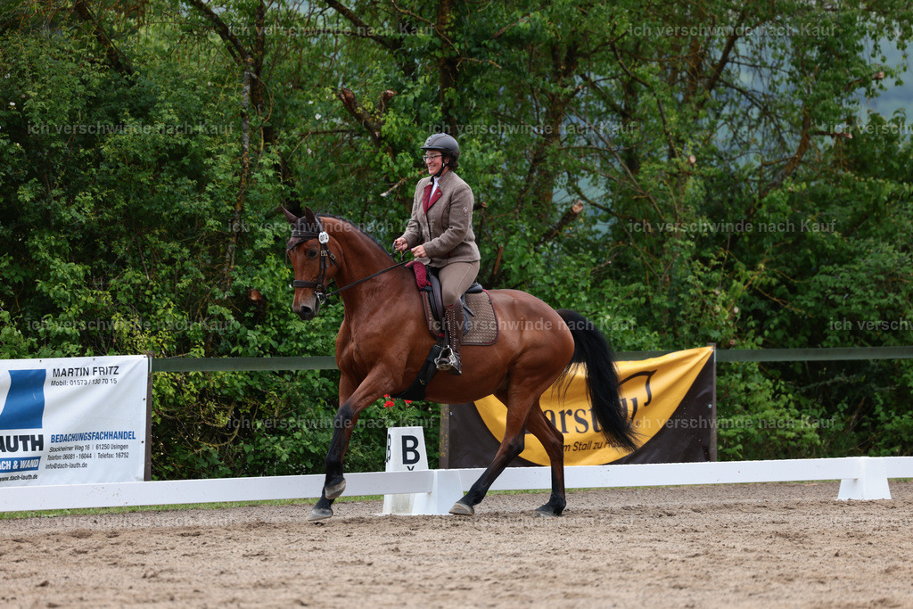 KlasseL_Stoibphotography_CAM21214.JPG | working equitationturnier fotograf videograf stoibphotography marixx film working equitation deutschland reitsport turnierfotografie eventfotografie equestrian events