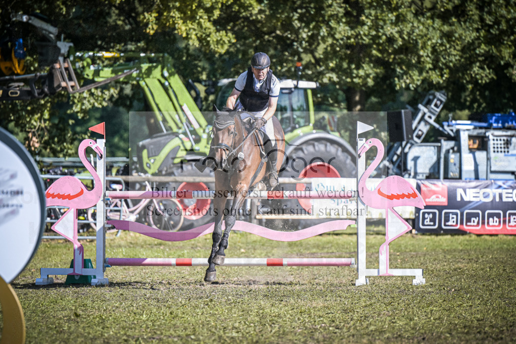 DOS_0649 | Entdecke hochwertige Reitturnierfotos von Foto Oger. Professionell, emotional und authentisch – jetzt Lieblingsmomente im Shop bestellen.Deutschlandweite Turnierfotografie. - Realisiert mit Pictrs.com
